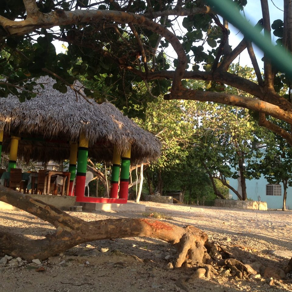 beachfront jamaica bar