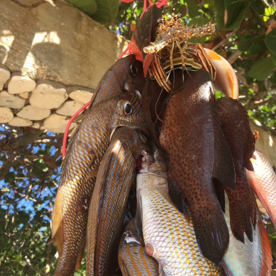 fresh fish of the day all inclusive hotel Negril Jamaica
