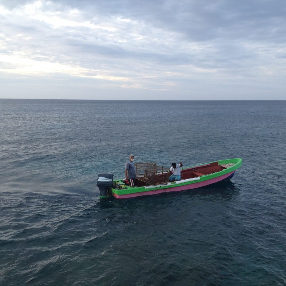 local fisherman brighton Jamaica