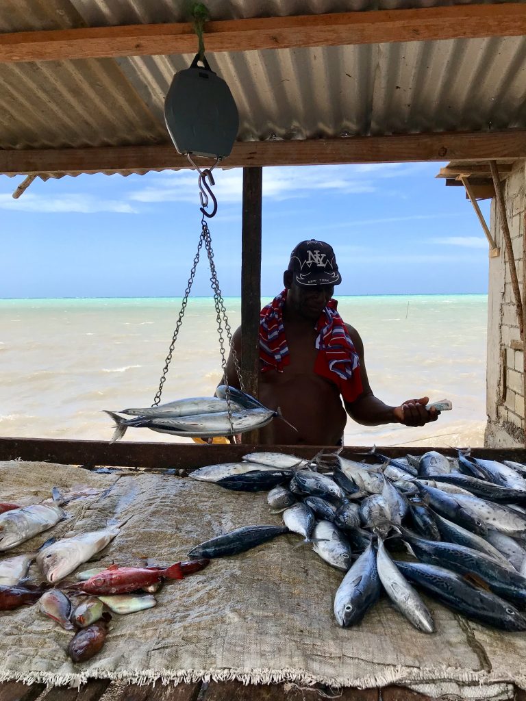 Sea to Plate Catch of the Day Jamaica All Inclusive Resort Villa Jewel on the Rocks